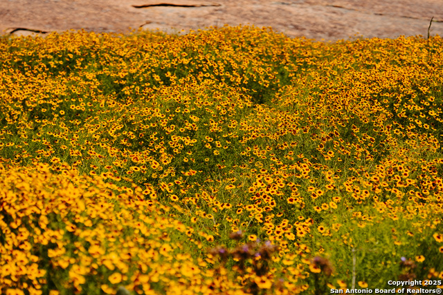 Image 52 of 53 For 611 Burbank St W