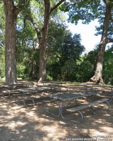 Image 66 of 72 For 31749 Acacia