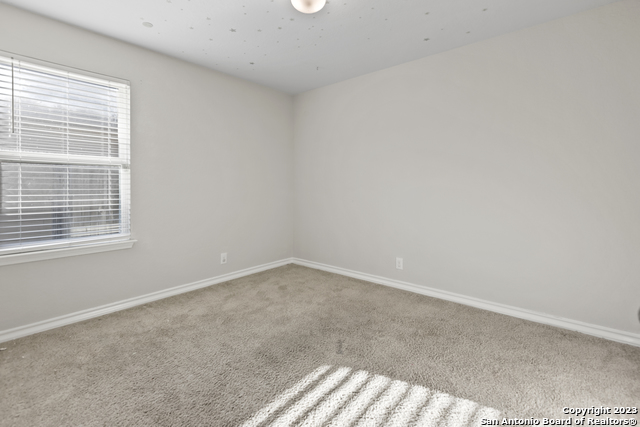 Image 17 of 28 For 13349 Bearded Flat