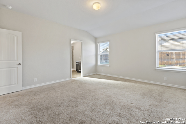 Image 20 of 28 For 13349 Bearded Flat