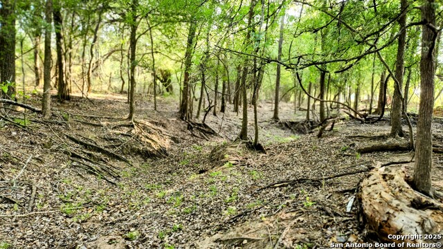 Image 10 of 10 For 618 Mesquite Pass