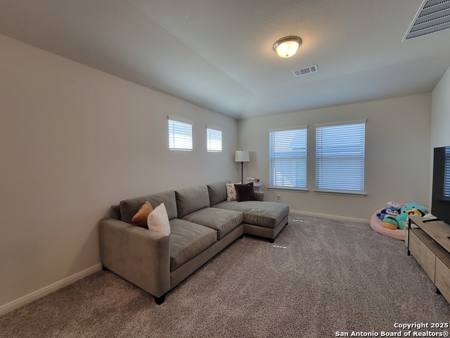 Image 26 of 35 For 10219 Azealia Way