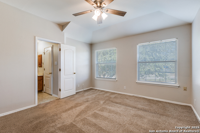 Image 21 of 25 For 22 Sunflower Run