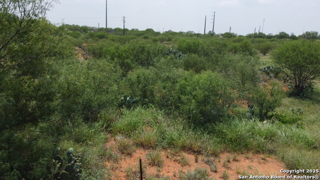 Image 6 of 9 For 2438 Interstate 35