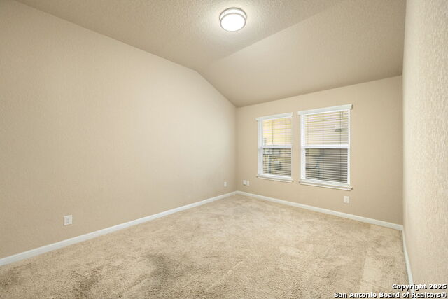 Image 19 of 27 For 8426 White Mulberry