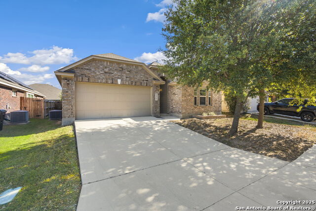 Image 2 of 27 For 8426 White Mulberry