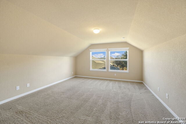 Image 23 of 27 For 8426 White Mulberry