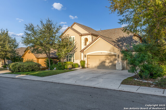 Image 2 of 42 For 1706 Nightshade