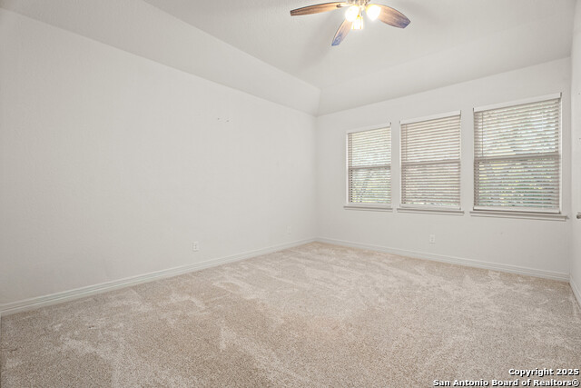 Image 25 of 42 For 1706 Nightshade