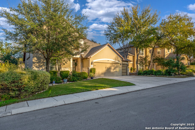 Image 3 of 42 For 1706 Nightshade