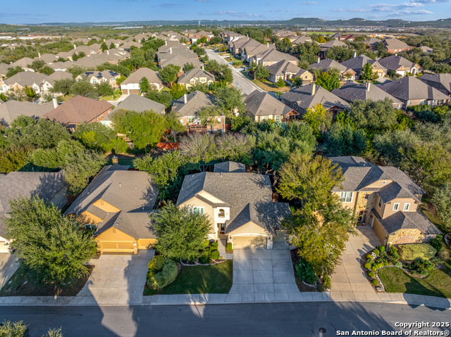 Image 38 of 42 For 1706 Nightshade