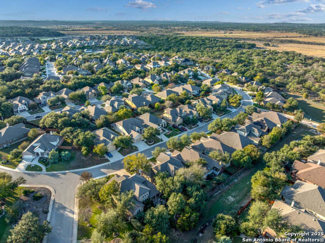 Image 42 of 42 For 1706 Nightshade