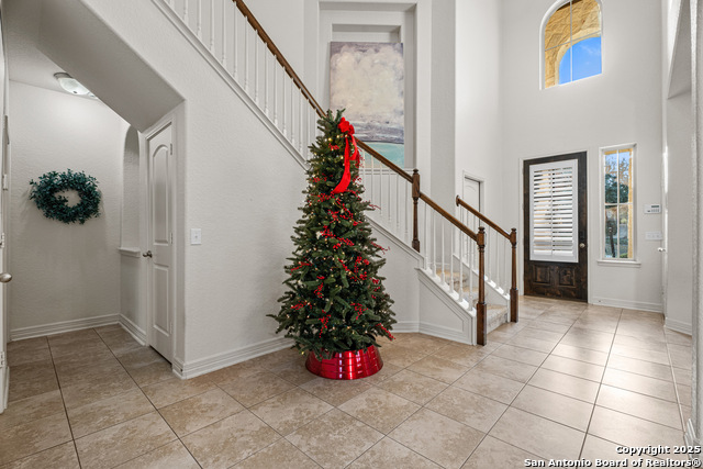 Image 7 of 42 For 1706 Nightshade