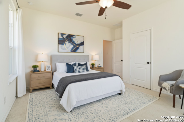 Image 14 of 23 For 2110 Themis  