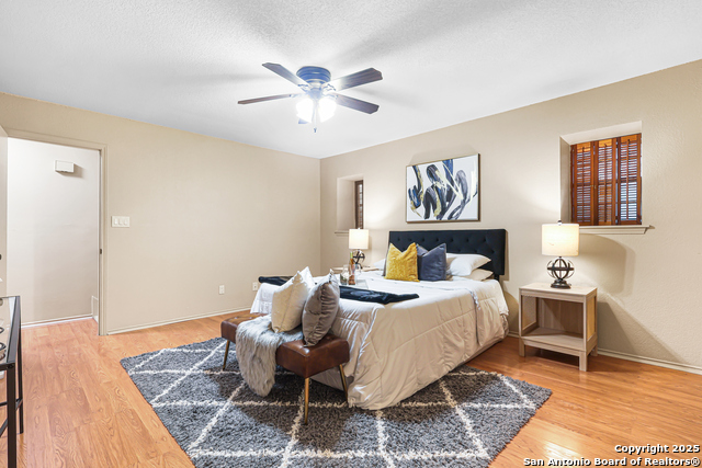 Image 16 of 32 For 2412 Wild Turkey W