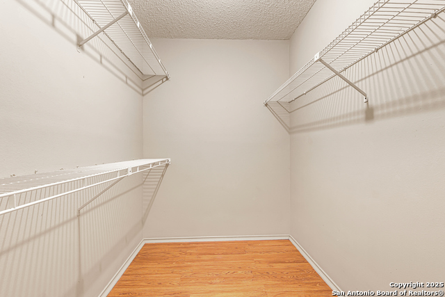 Image 19 of 32 For 2412 Wild Turkey W