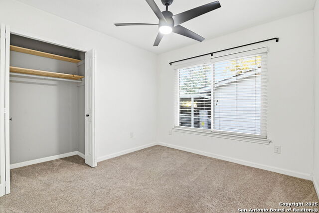 Image 15 of 25 For 2822 Knight Robin