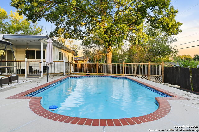 Image 25 of 25 For 2822 Knight Robin