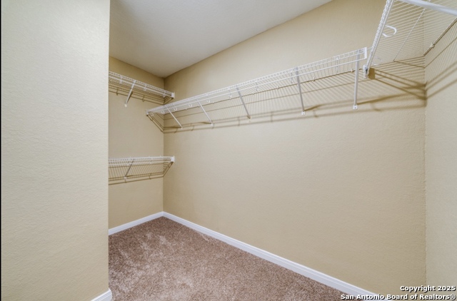 Image 23 of 25 For 2915 Lavender