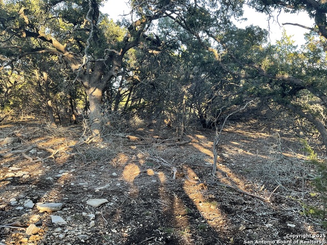 Image 11 of 13 For 113 Champion Way