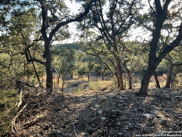 Image 12 of 13 For 113 Champion Way