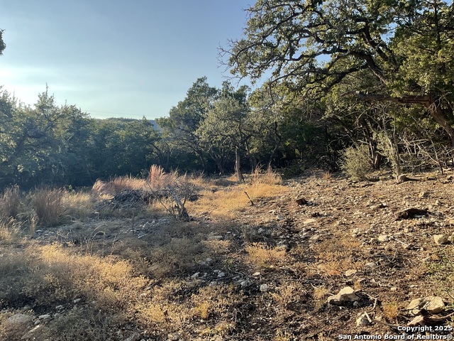 Image 13 of 13 For 113 Champion Way