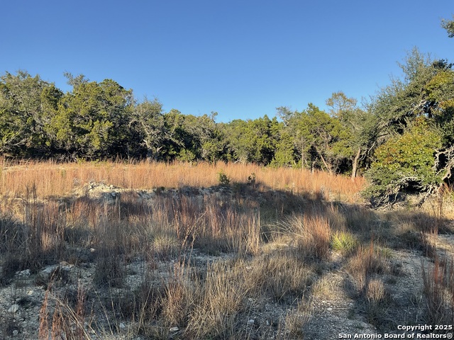 Image 3 of 13 For 113 Champion Way