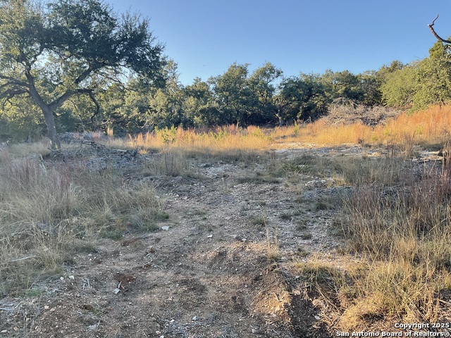 Image 5 of 13 For 113 Champion Way