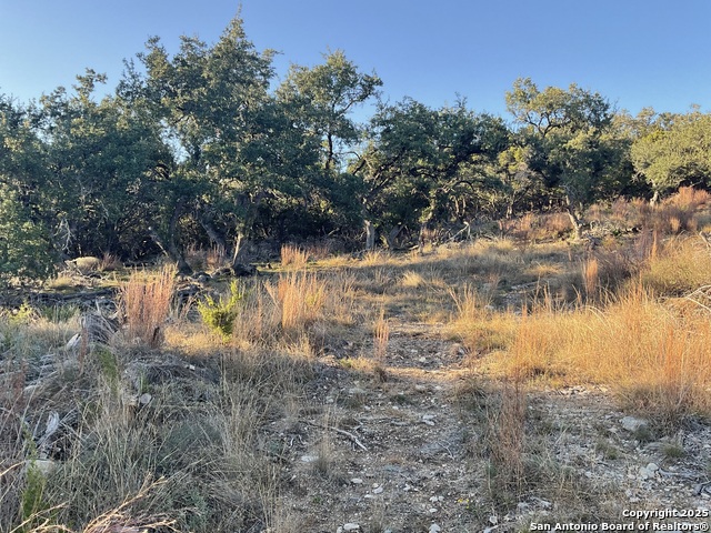 Image 6 of 13 For 113 Champion Way