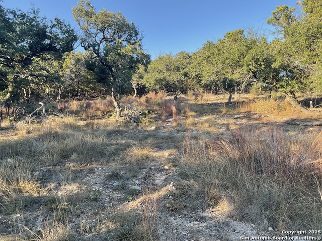 Image 7 of 13 For 113 Champion Way