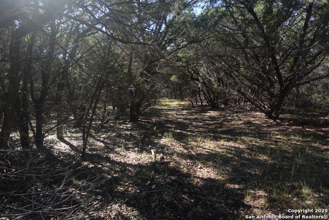 Listing photo id 2 for 110 Estates  