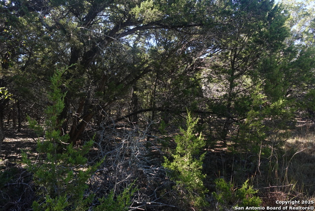 Listing photo id 3 for 110 Estates  