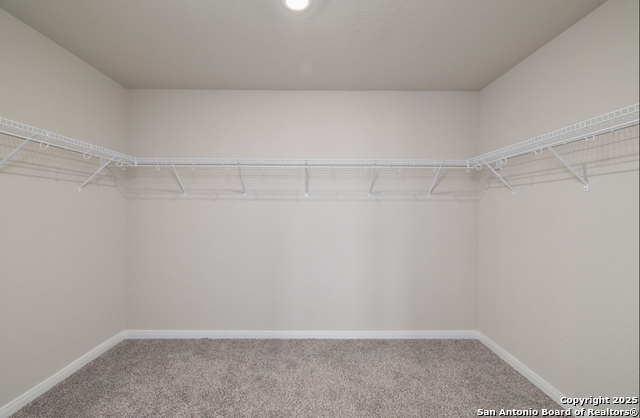 Image 34 of 39 For 6808 Cetera Crossing