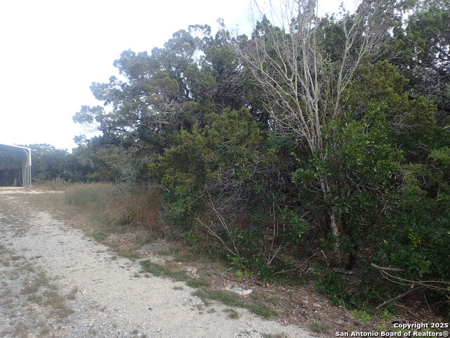 Image 2 of 4 For 1 2 Circle