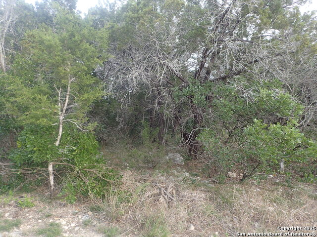 Image 3 of 4 For 1 2 Circle