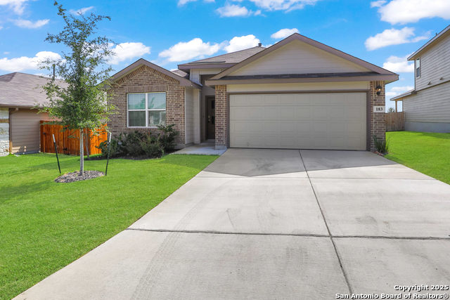 Details for 183 Ringed Plover, San Antonio, TX 78253