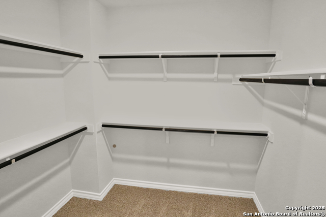 Image 10 of 20 For 183 Ringed Plover