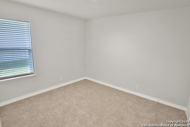 Image 13 of 20 For 183 Ringed Plover