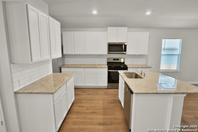 Image 17 of 20 For 183 Ringed Plover