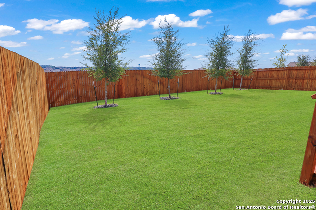 Image 4 of 20 For 183 Ringed Plover