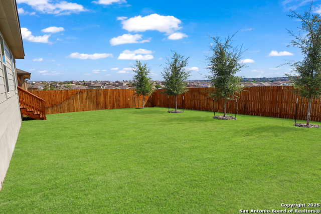 Image 5 of 20 For 183 Ringed Plover