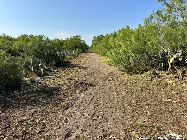 Details for 0 Cameron Ln, Fowlerton, TX 78021