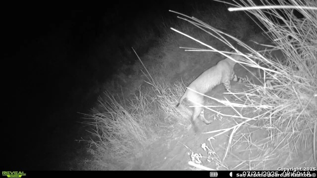 Image 10 of 22 For 0 Cameron Ln