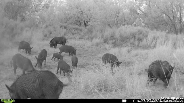 Image 12 of 22 For 0 Cameron Ln