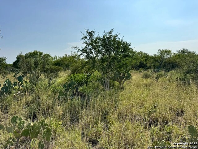 Image 13 of 22 For 0 Cameron Ln