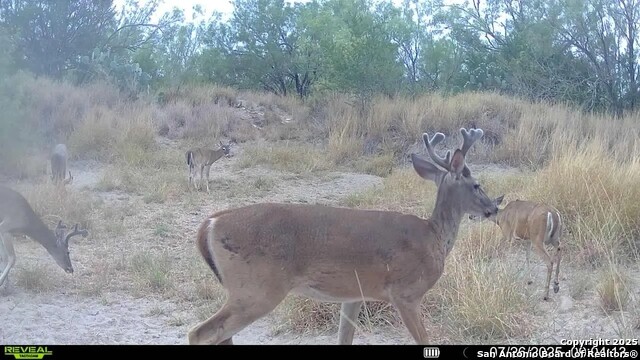 Image 14 of 22 For 0 Cameron Ln