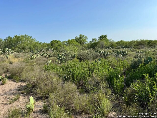 Image 15 of 22 For 0 Cameron Ln