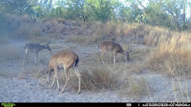 Image 16 of 22 For 0 Cameron Ln