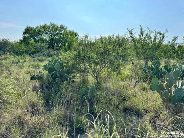 Image 17 of 22 For 0 Cameron Ln