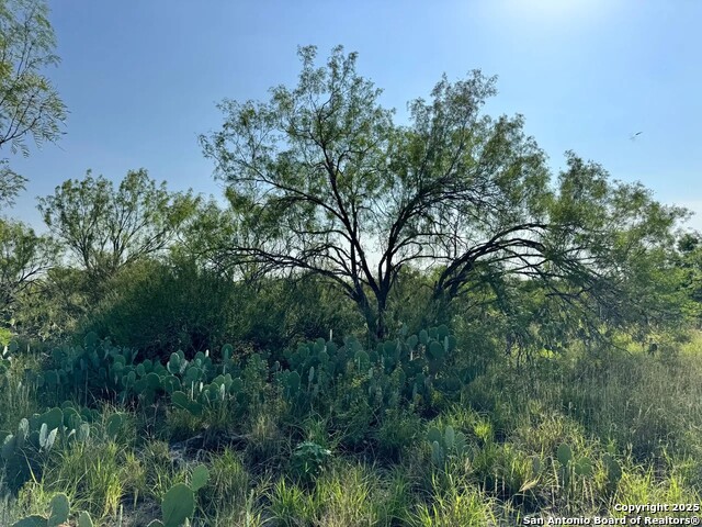 Image 18 of 22 For 0 Cameron Ln